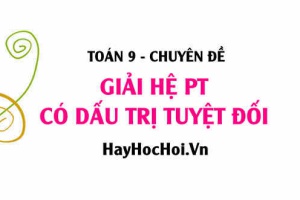 Cách giải hệ phương trình chứa dấu giá trị tuyệt đối và Bài tập vận dụng (mới nhất)- Toán 9 chuyên đề